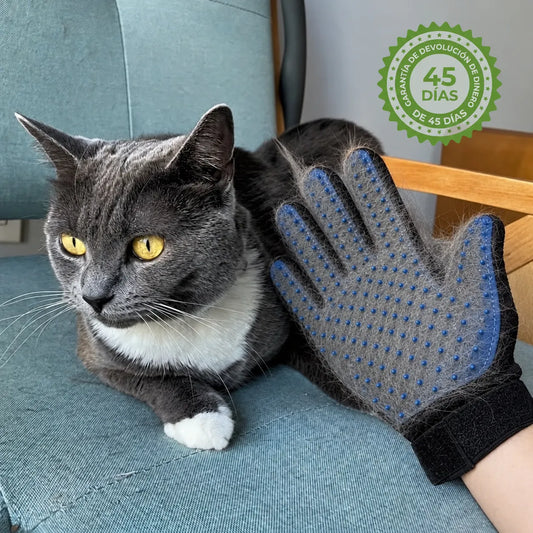Guantes de Cepillado | Cero estrés