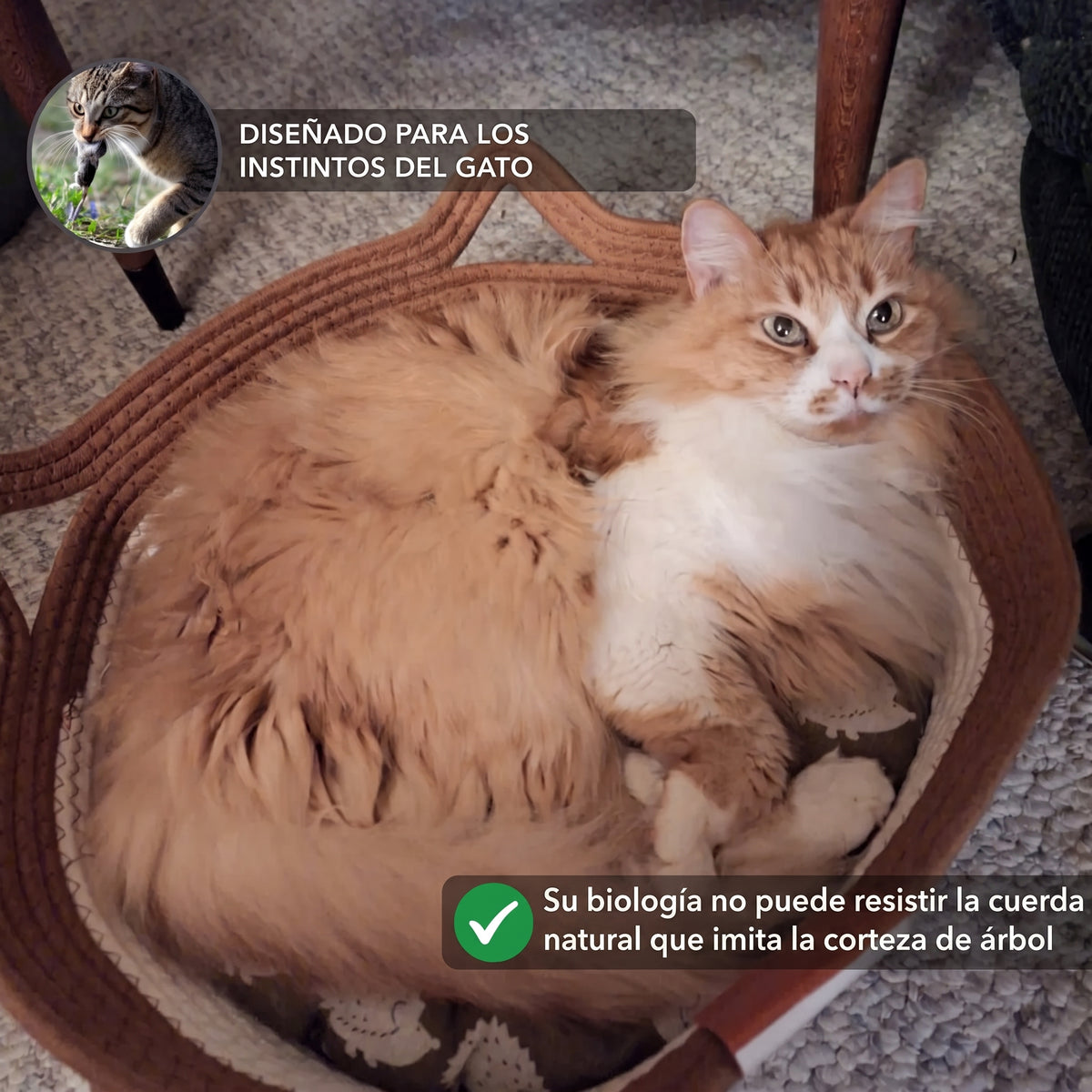 Cesta Instinto MIMO | Cama y territorio natural para gatos de interior