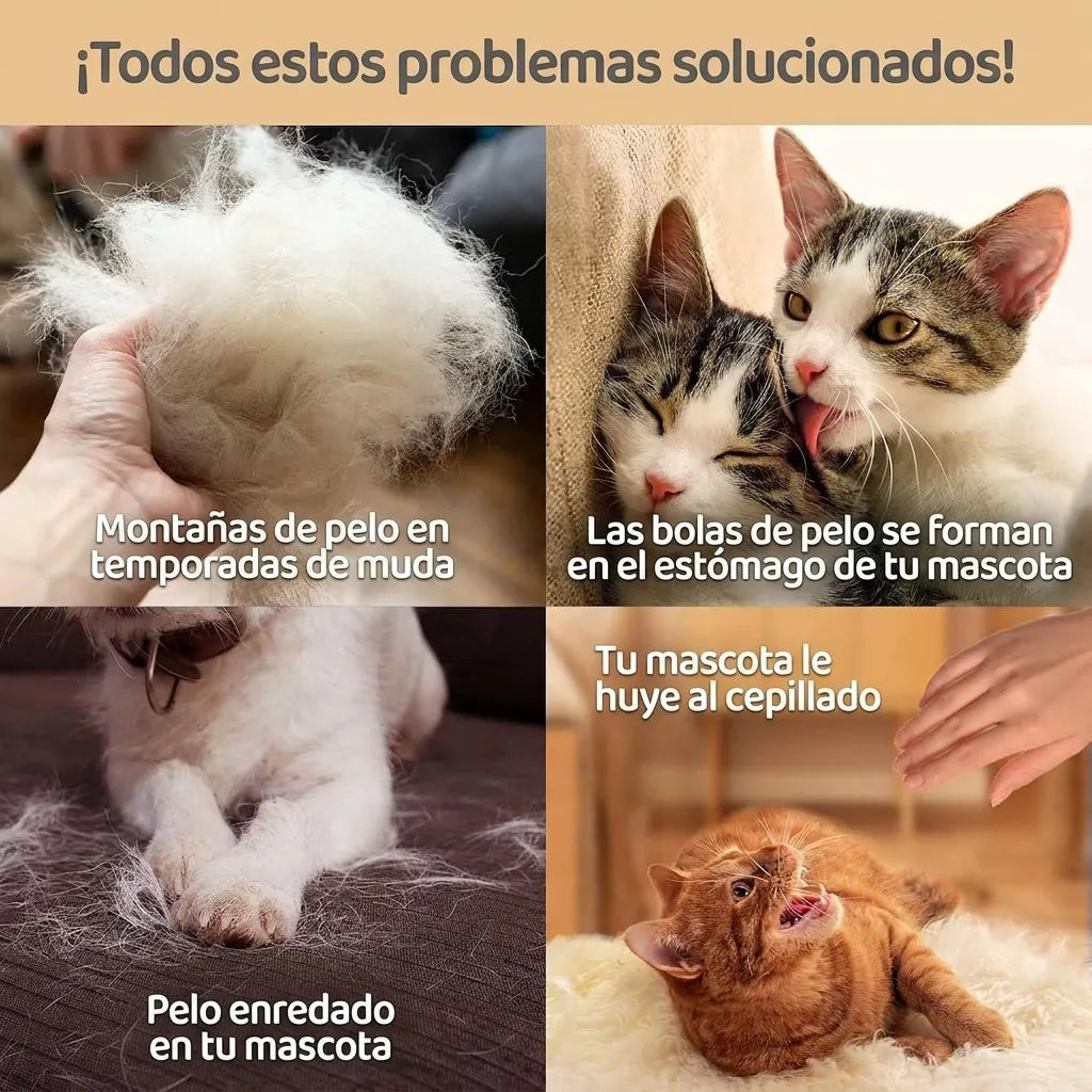 Guantes de Cepillado MIMO | Menos resistencia. Más comodidad. Una etapa dorada y tranquila para tu gato mayor. (Incluye el par)
