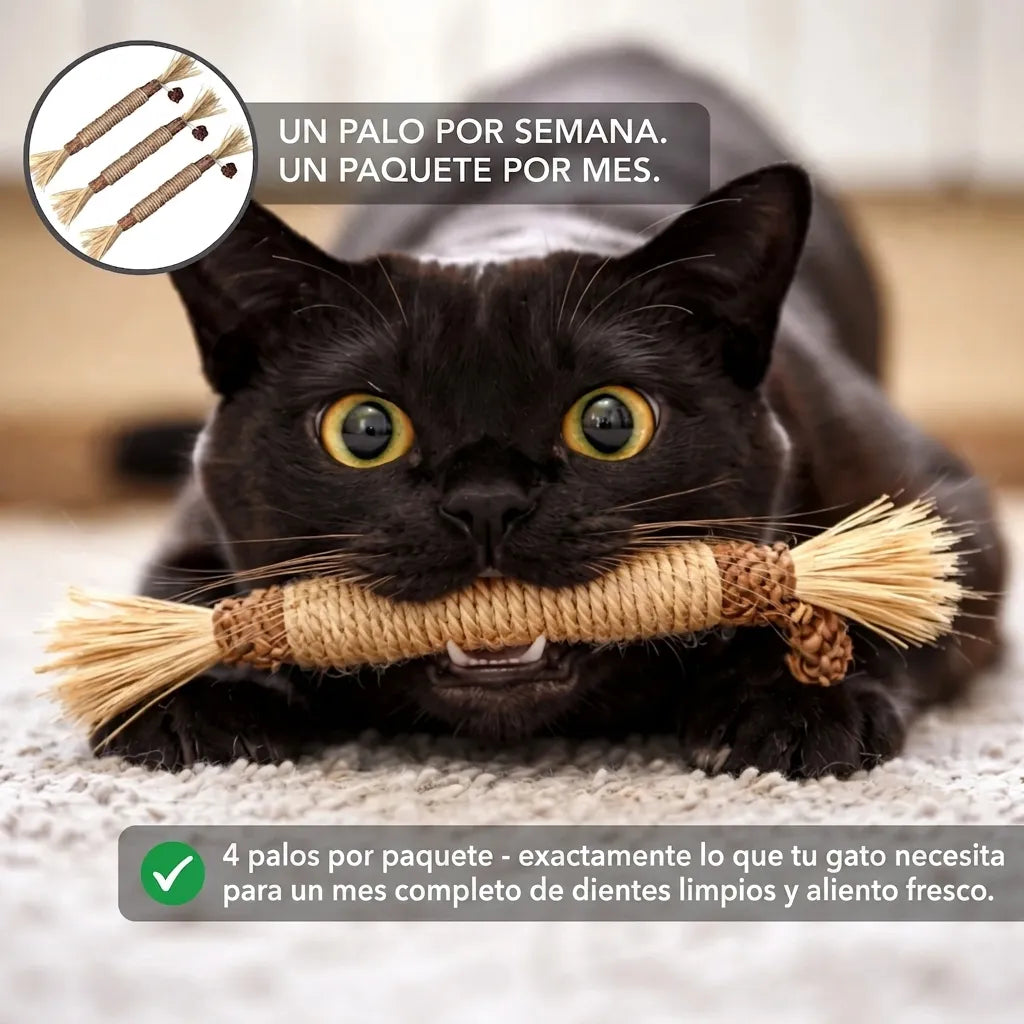 Palito Dental Instinto | Control natural de la placa y el sarro | 100% natural
