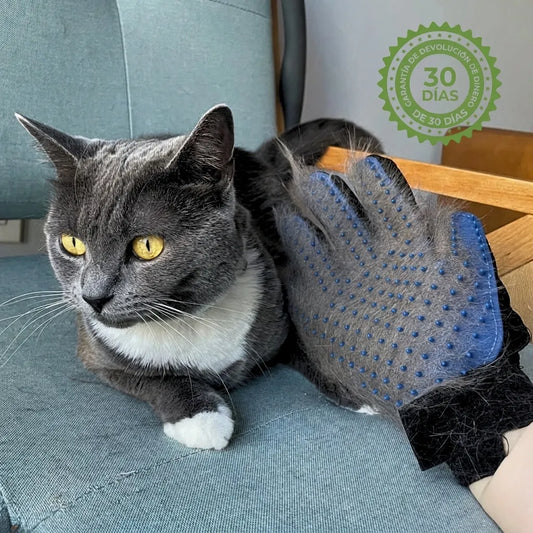Guantes de Cepillado MIMO | Menos resistencia. Más comodidad. Una etapa dorada y tranquila para tu gato mayor. (Incluye el par)