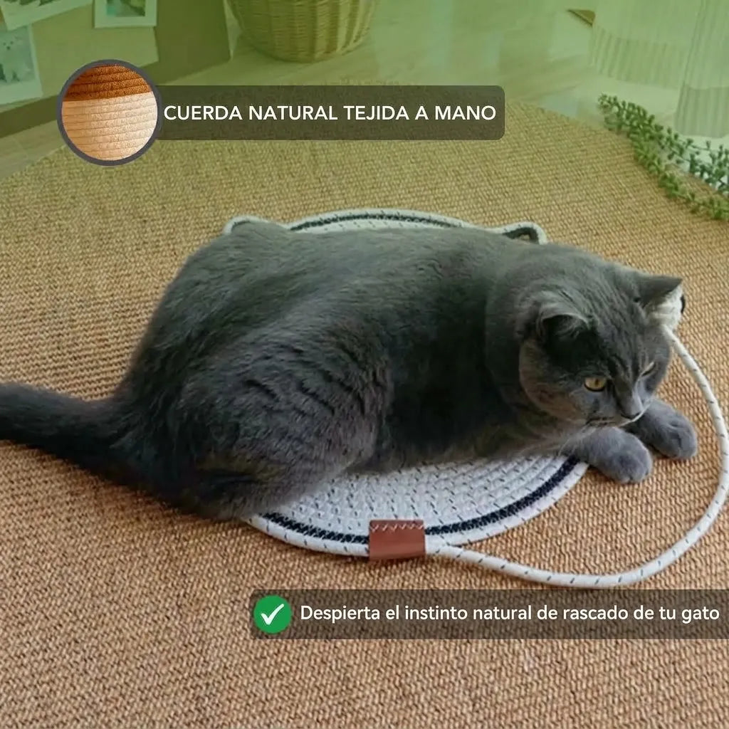 Rascador Instinto MIMO | El tapete rascador que la naturaleza de tu gato realmente reconoce (NUEVO)