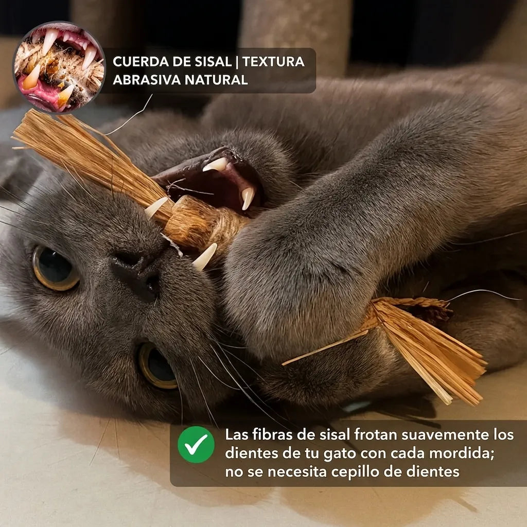 Palito Dental Instinto | Control natural de la placa y el sarro | 100% natural