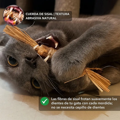 Palito Dental Instinto | Control natural de la placa y el sarro | 100% natural