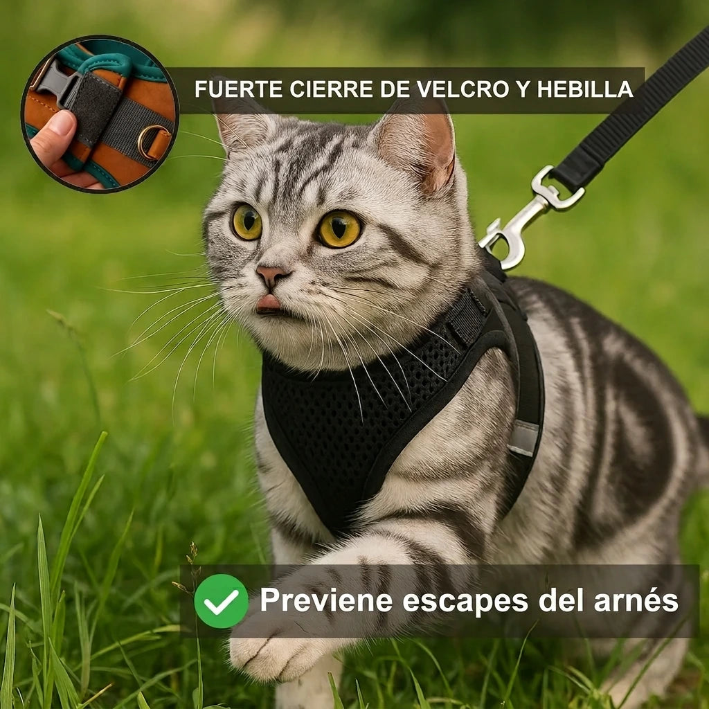 Arnés y Correa Explorer | Menos aburrimiento. Más descubrimientos. Una vida mejor para tu gato de interior.