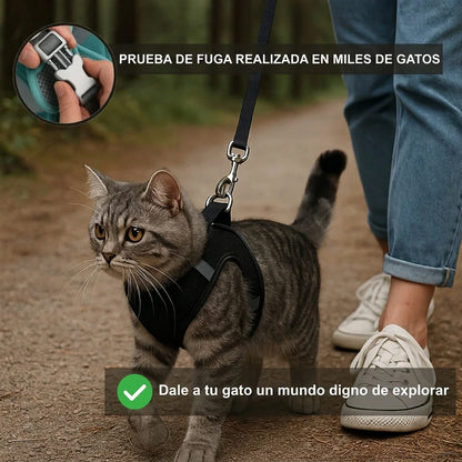 Arnés y Correa Explorer | Menos aburrimiento. Más descubrimientos. Una vida mejor para tu gato de interior.