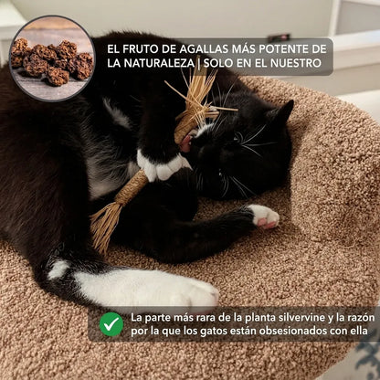 Palito Dental Instinto | Control natural de la placa y el sarro | 100% natural